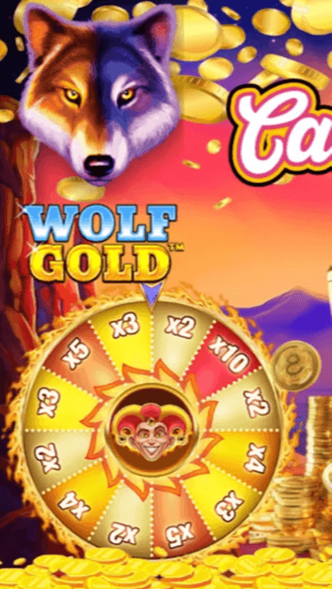 Casa Norocului Screenshot